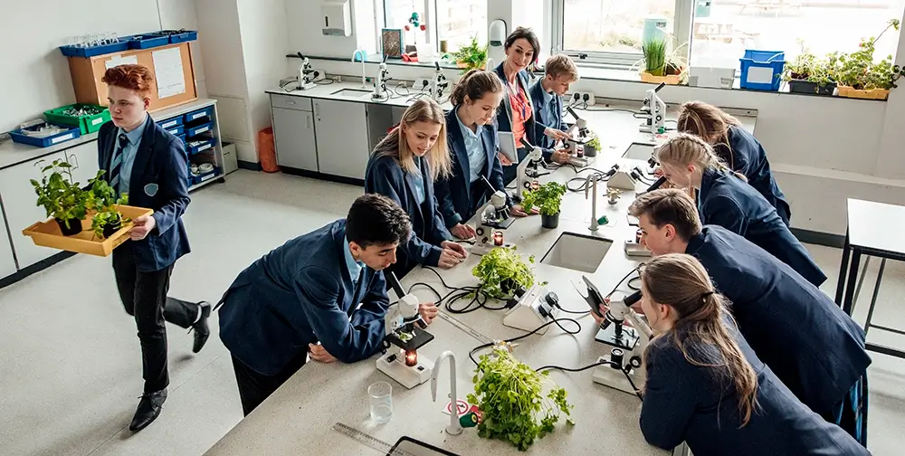 Secondary school pupils in a biology class